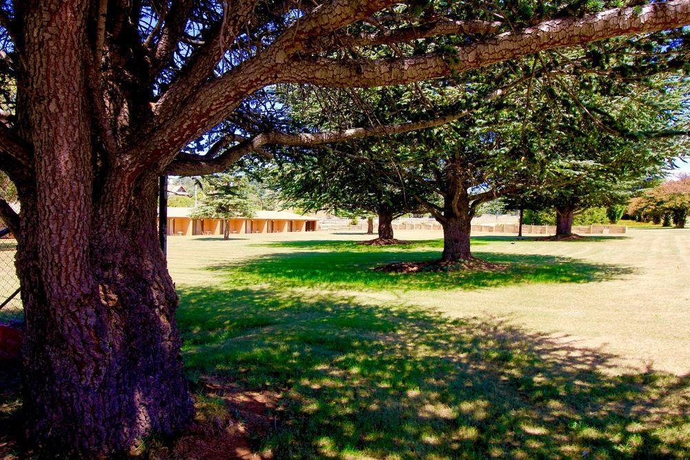 Snowy Mountains Resort And Function Centre Adaminaby Buitenkant foto